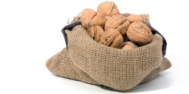 Noix Seche En Coque 100 Origine France Agriculture Biologique